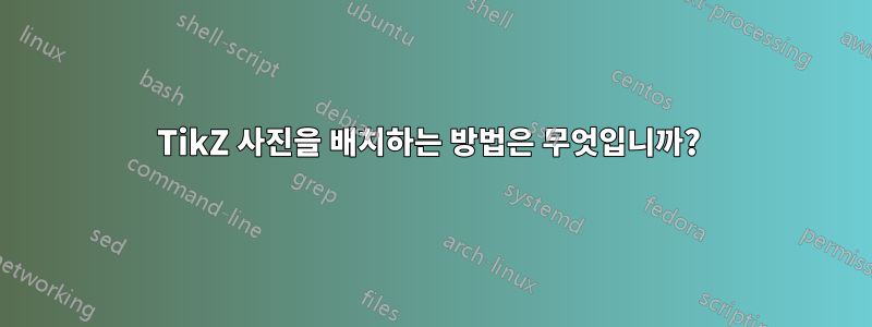 TikZ 사진을 배치하는 방법은 무엇입니까? 