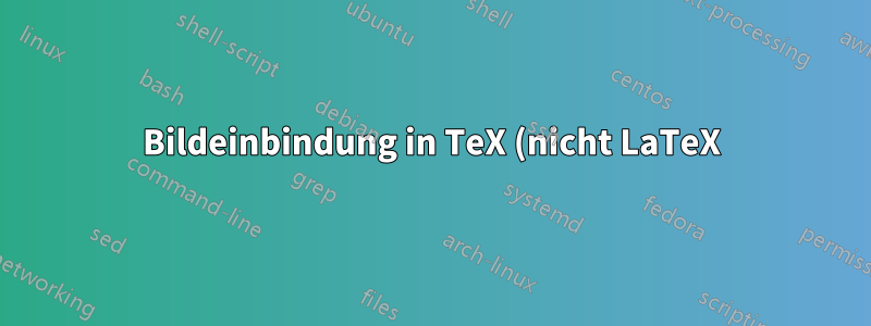 Bildeinbindung in TeX (nicht LaTeX)