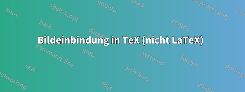 Bildeinbindung in TeX (nicht LaTeX) 