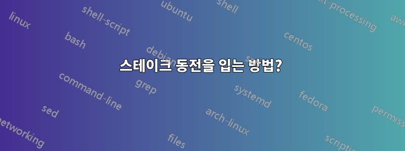 스테이크 동전을 입는 방법?