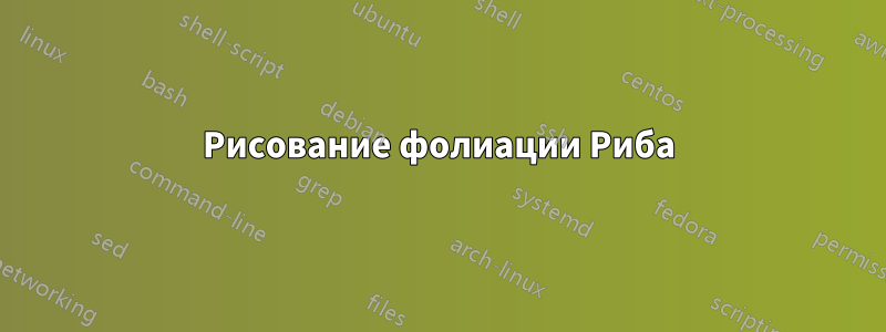 Рисование фолиации Риба