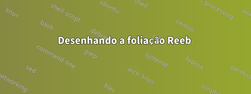 Desenhando a foliação Reeb