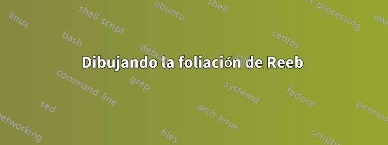 Dibujando la foliación de Reeb