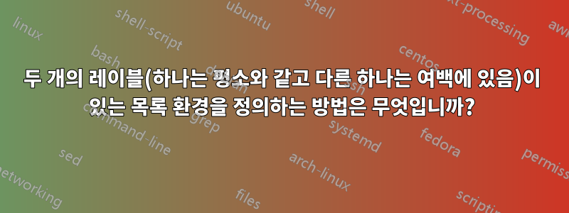 두 개의 레이블(하나는 평소와 같고 다른 하나는 여백에 있음)이 있는 목록 환경을 정의하는 방법은 무엇입니까?