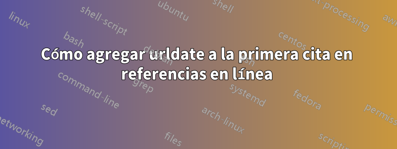 Cómo agregar urldate a la primera cita en referencias en línea