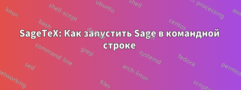 SageTeX: Как запустить Sage в командной строке