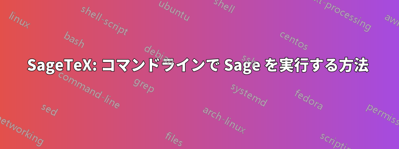 SageTeX: コマンドラインで Sage を実行する方法
