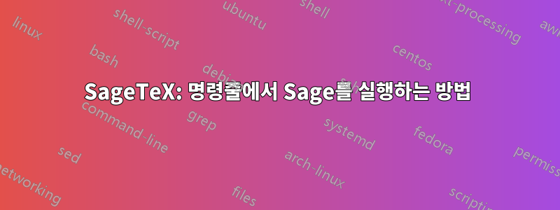 SageTeX: 명령줄에서 Sage를 실행하는 방법