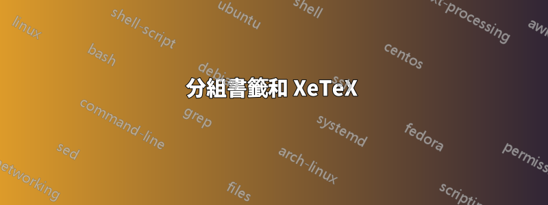 分組書籤和 XeTeX