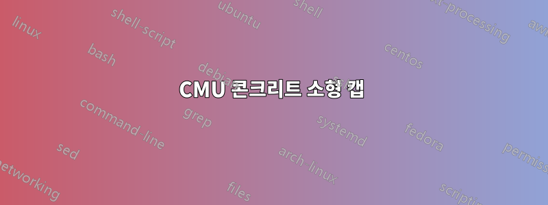 CMU 콘크리트 소형 캡