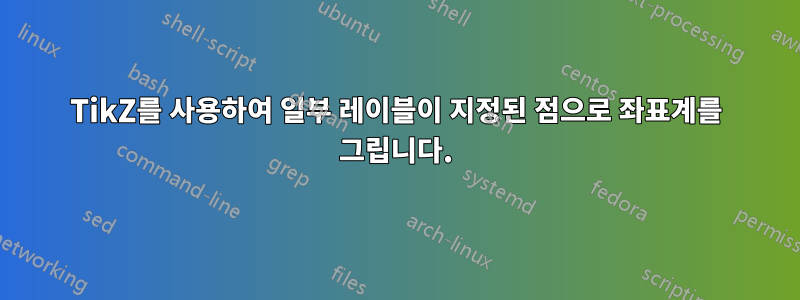 TikZ를 사용하여 일부 레이블이 지정된 점으로 좌표계를 그립니다.