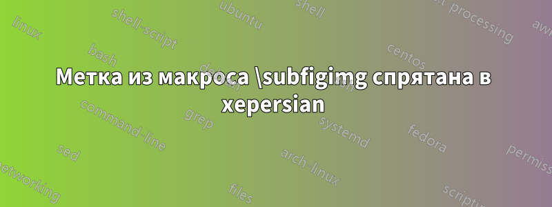 Метка из макроса \subfigimg спрятана в xepersian
