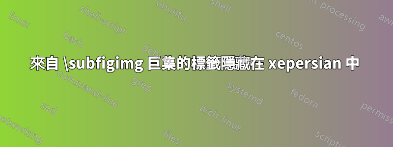來自 \subfigimg 巨集的標籤隱藏在 xepersian 中