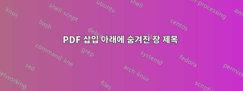 PDF 삽입 아래에 숨겨진 장 제목