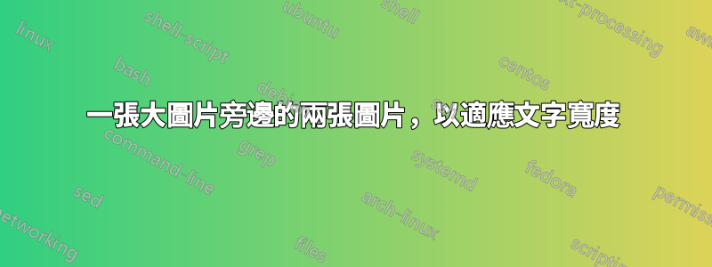一張大圖片旁邊的兩張圖片，以適應文字寬度