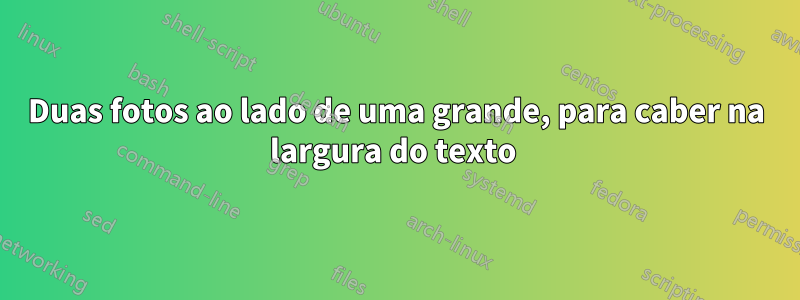 Duas fotos ao lado de uma grande, para caber na largura do texto 