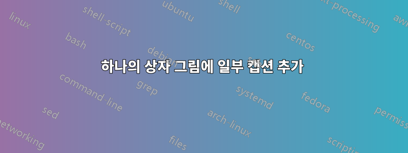 하나의 상자 그림에 일부 캡션 추가