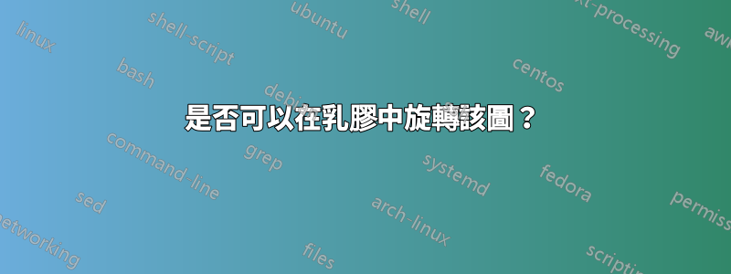 是否可以在乳膠中旋轉該圖？