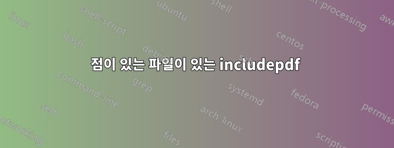 점이 있는 파일이 있는 includepdf