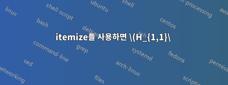 itemize를 사용하면 \(H_{1,1}\)로 세 번째 줄을 굵게 표시할 수 없는 이유