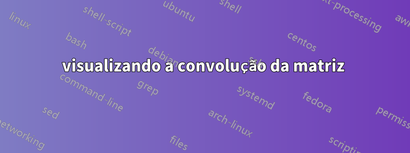 visualizando a convolução da matriz