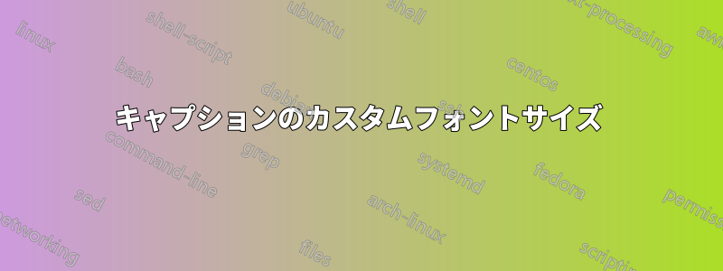 キャプションのカスタムフォントサイズ