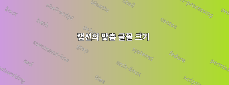 캡션의 맞춤 글꼴 크기