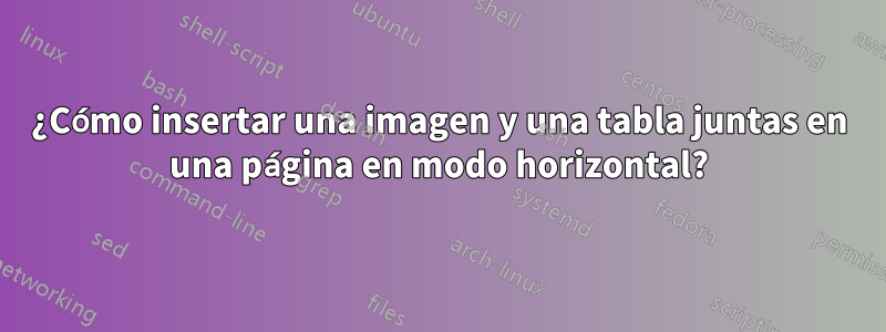 ¿Cómo insertar una imagen y una tabla juntas en una página en modo horizontal?