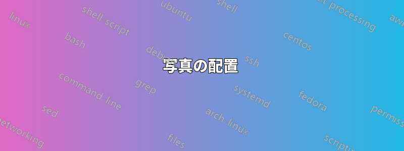 写真の配置