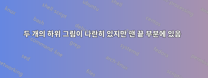 두 개의 하위 그림이 나란히 있지만 맨 끝 부분에 있음 
