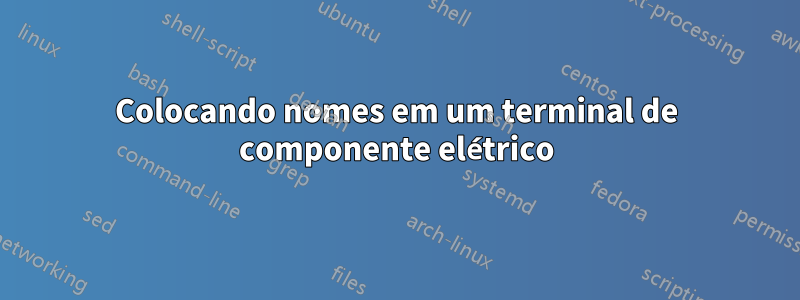 Colocando nomes em um terminal de componente elétrico