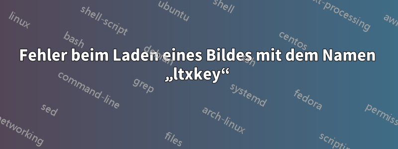 Fehler beim Laden eines Bildes mit dem Namen „ltxkey“