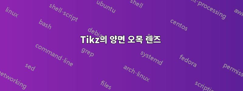 Tikz의 양면 오목 렌즈