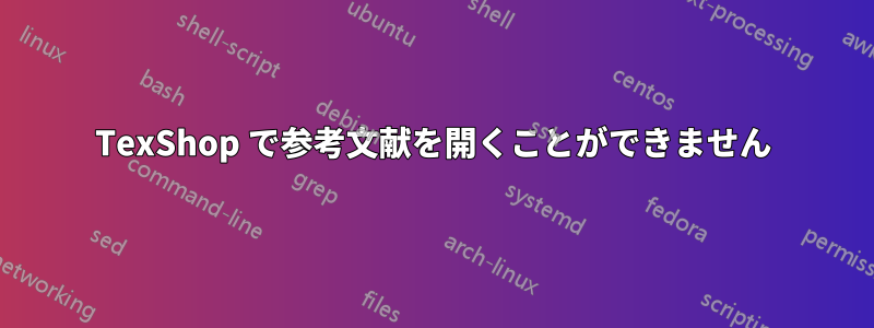 TexShop で参考文献を開くことができません