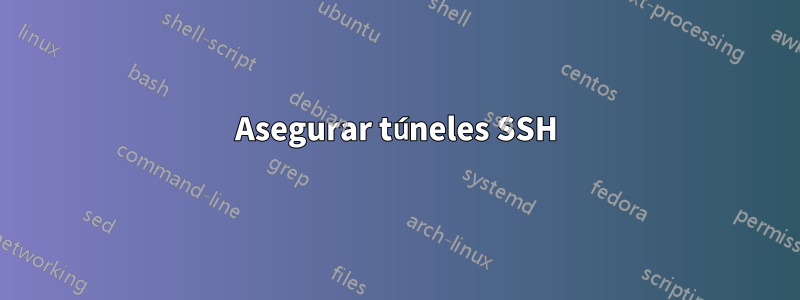 Asegurar túneles SSH