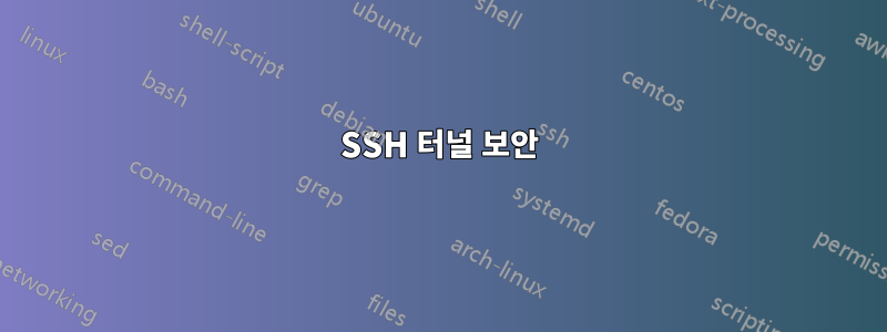 SSH 터널 보안