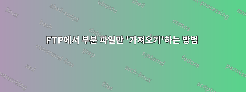 FTP에서 부분 파일만 '가져오기'하는 방법