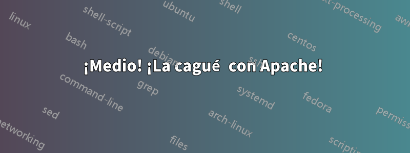 ¡Medio! ¡La cagué con Apache!