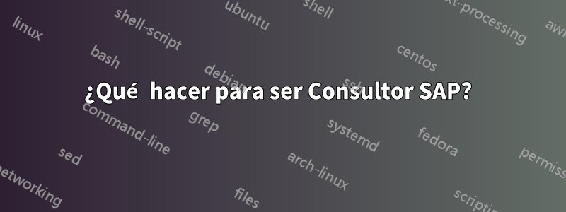 ¿Qué hacer para ser Consultor SAP? 