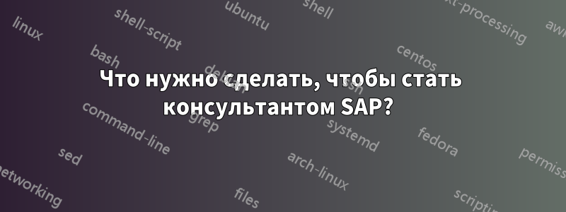 Что нужно сделать, чтобы стать консультантом SAP? 