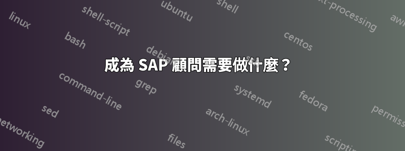 成為 SAP 顧問需要做什麼？ 