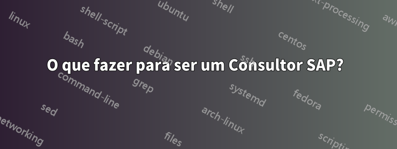 O que fazer para ser um Consultor SAP? 