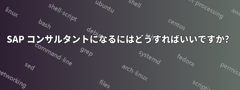 SAP コンサルタントになるにはどうすればいいですか?