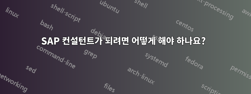 SAP 컨설턴트가 되려면 어떻게 해야 하나요? 