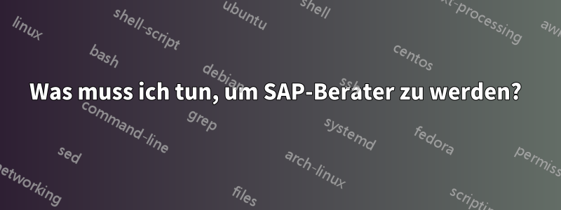 Was muss ich tun, um SAP-Berater zu werden? 
