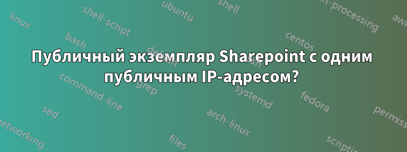 Публичный экземпляр Sharepoint с одним публичным IP-адресом?