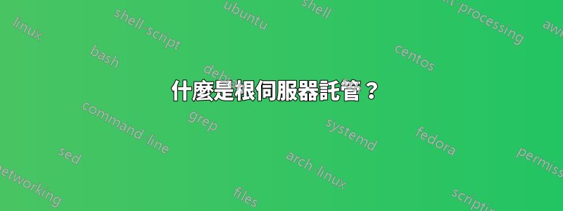 什麼是根伺服器託管？ 