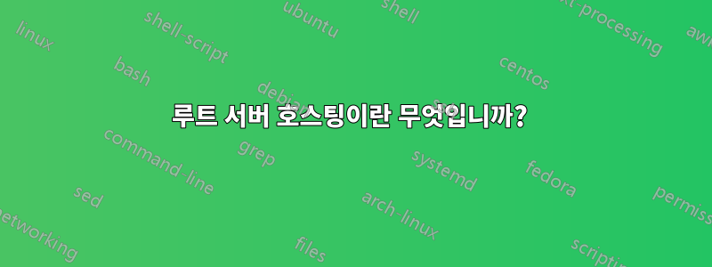 루트 서버 호스팅이란 무엇입니까?