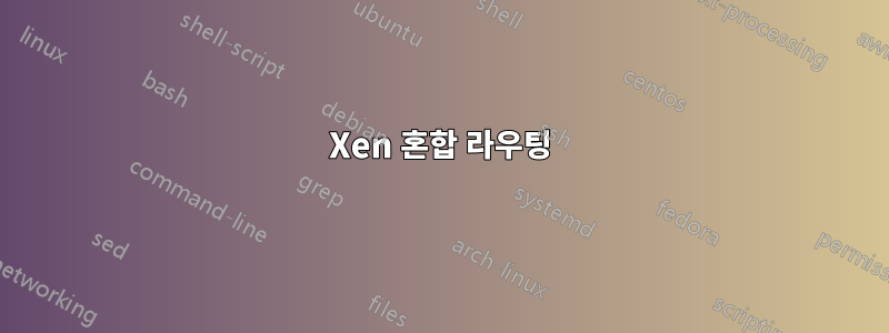 Xen 혼합 라우팅
