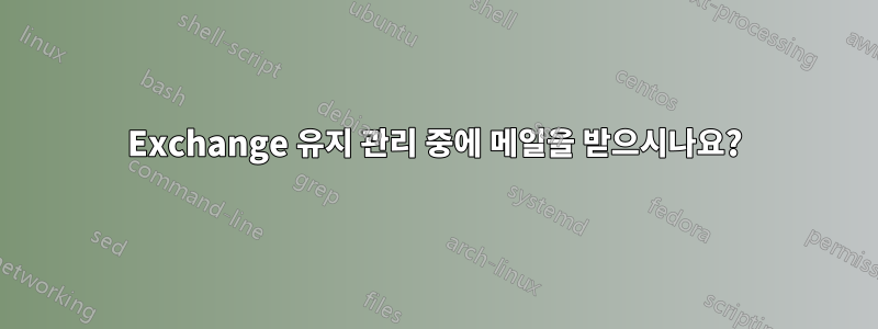 Exchange 유지 관리 중에 메일을 받으시나요?